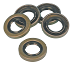GENERATOR OIL SEAL